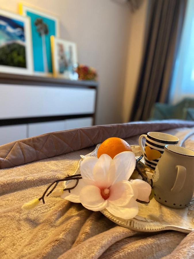Victoriei Deluxe Suites Boekarest Buitenkant foto
